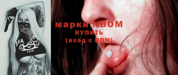 стаф Осинники