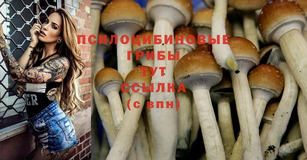 круглые Кодинск