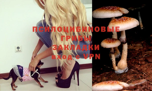 spice Абдулино
