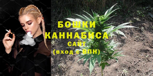 стафф Апатиты