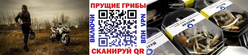 Псилоцибиновые грибы мицелий  ОМГ ОМГ как зайти  Бавлы 